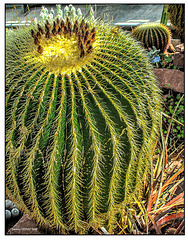 Botanischer Garten UNI Basel