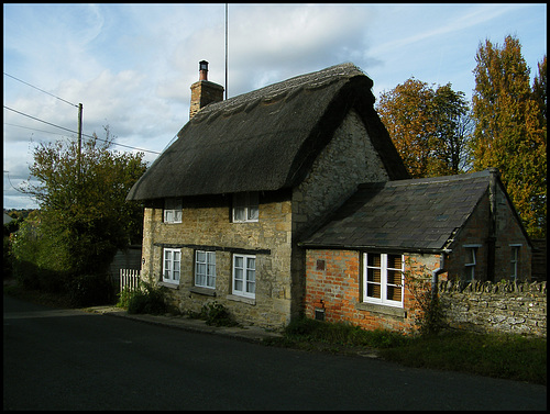 Freehold Street thatch