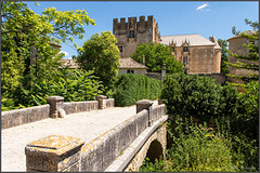 Château D'Allemagne-en-Provence