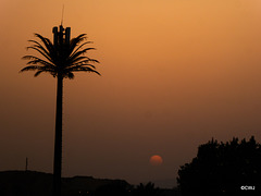Sunset over Muscat Hills