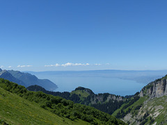 Vue sur le Léman depuis la Berneuse