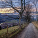 _D3A0866-Bearbeitet