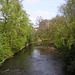 River Kelvin View