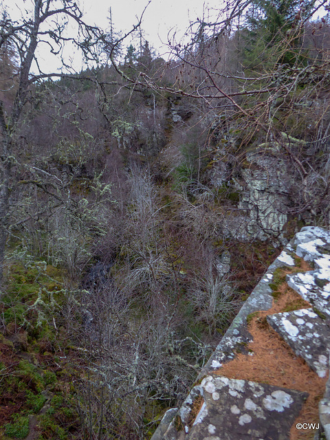 Looking over the edge of Huntly's Crag