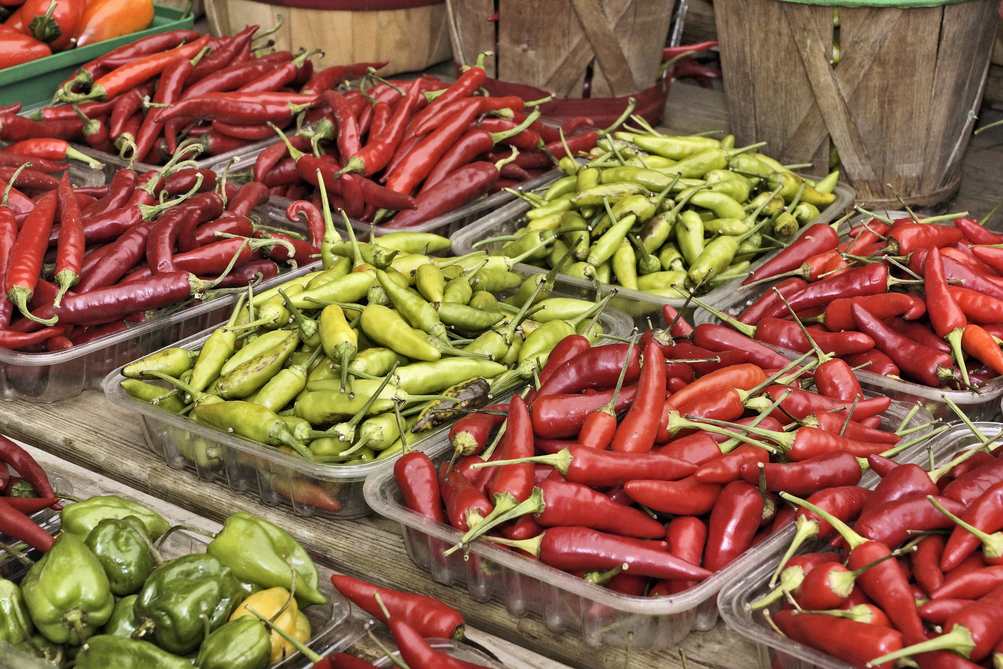 Hot Things Come in Small Packages – Marché Jean-Talon, Montréal, Québec, Canada