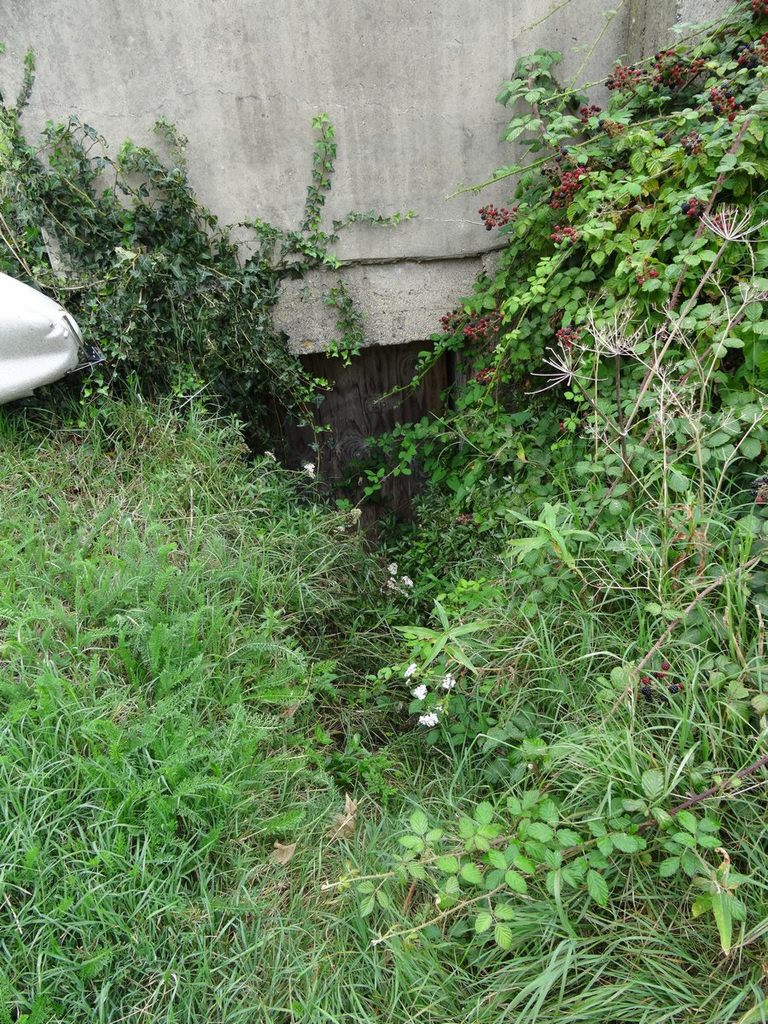 aysep2019ambas (1296)