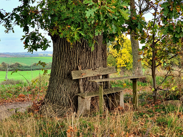 Im Mecklenburger Hochland