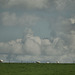 cows, clouds, fences