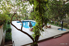 The Swimming pool at Jiwan