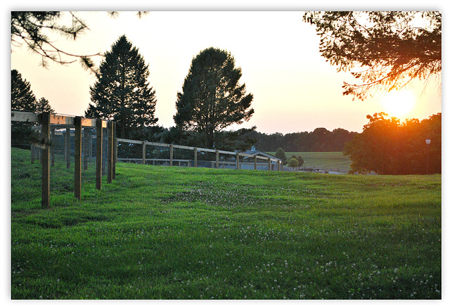 A Big 6-0 Fence Friday!