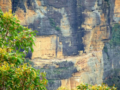 Cliff, Blue Mountains