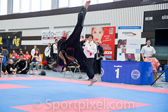 ger-open-5696 25772232753 o