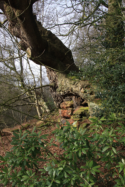 Hawkstone Park Follies