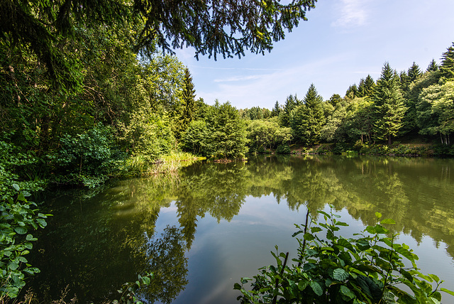 Basaltsee - 20150811