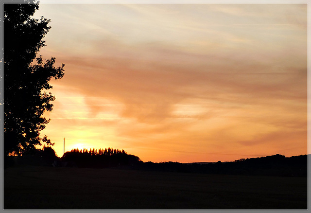 Promenade du soir............