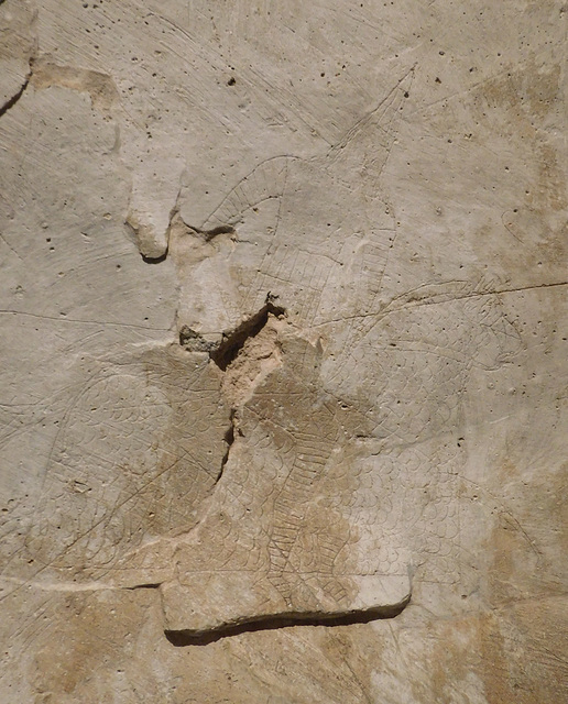 Detail of a Graffito of a Mounted Lancer from Dura-Europos in the Metropolitan Museum of Art, June 2019