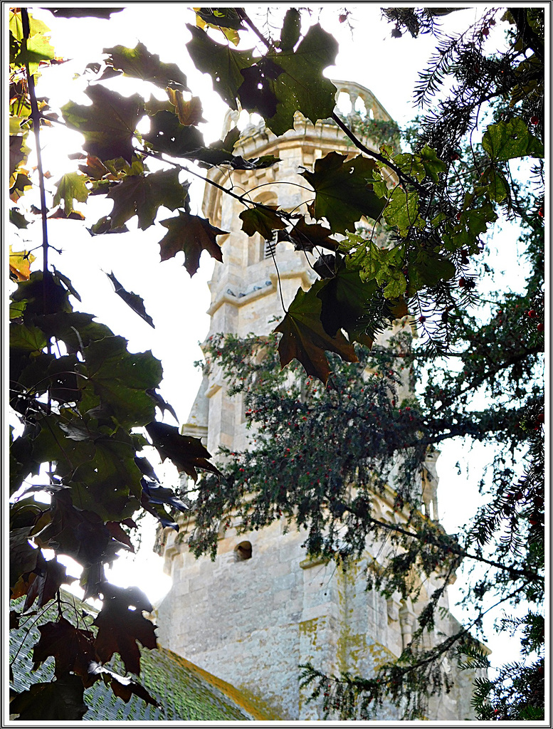 L'église romane d'Yvignac La Tour (22)