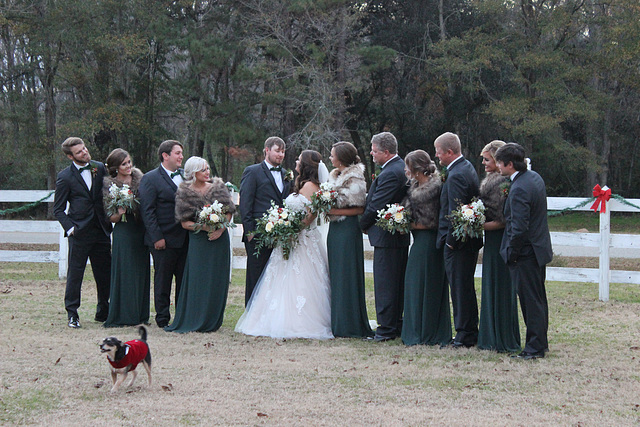 JUST MARRIED... the wedding party.....their pet dog enjoying it all..:))