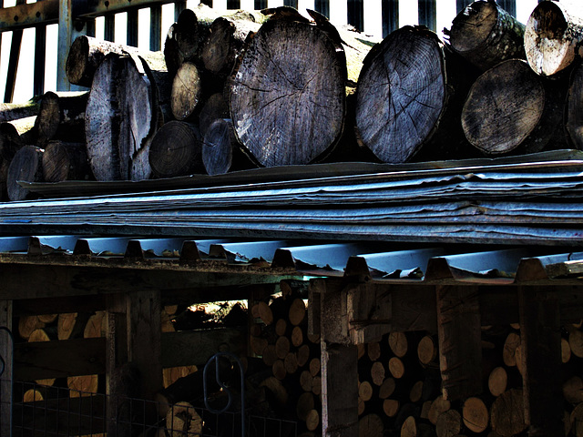 Logs Lines And Shadows