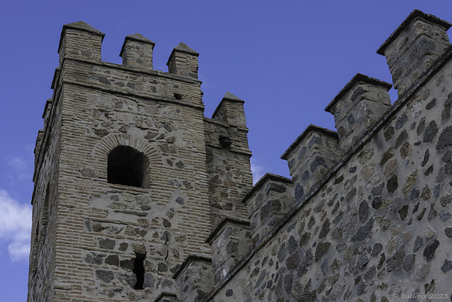 Puerta de Alfonso VI (© Buelipix)