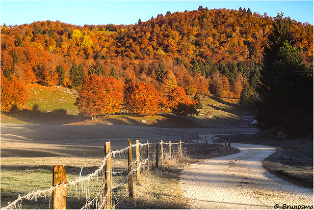 La strada d'autunno.