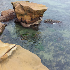 Terrigal boardwalk