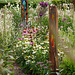 Glass sculptures, Sussex Prairie Garden