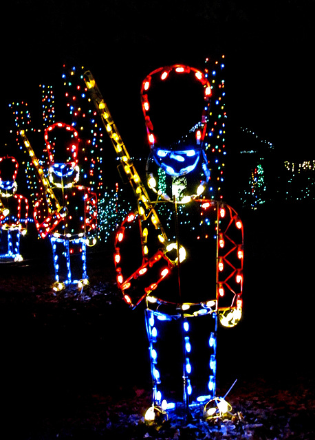 Christmas Lights - Toy Soldier