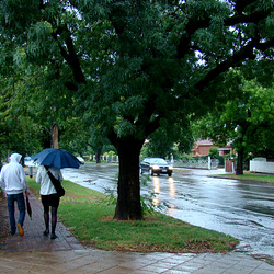 summer rain storm summer rain storm