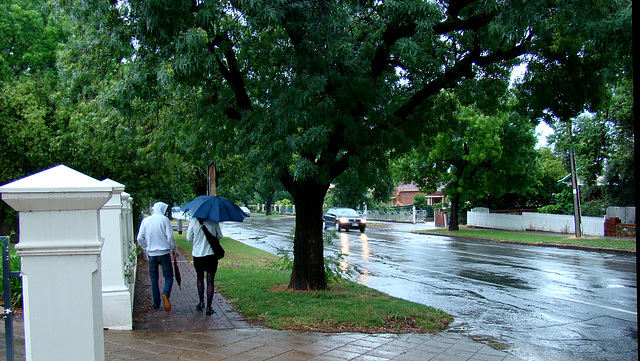 summer rain storm