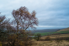 Windy on Shire Hil