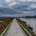 The Petaluma River