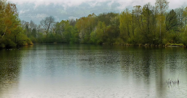 Regen am Alten Rhein