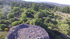 Capitelle avril 2017