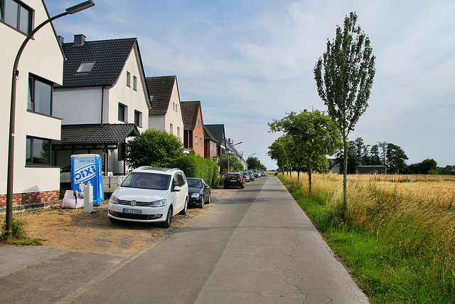 Kamphecke (Dortmund-Brechten) / 22.06.2019