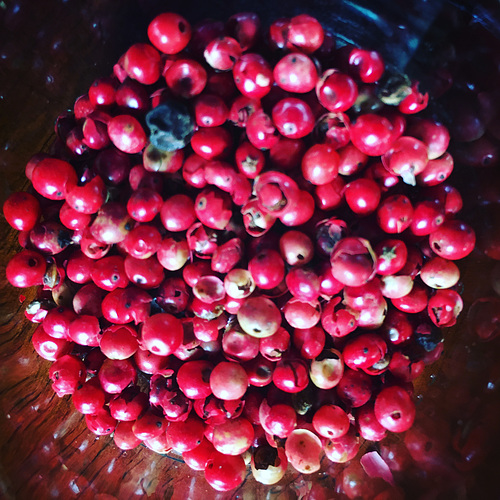 Red pepper.