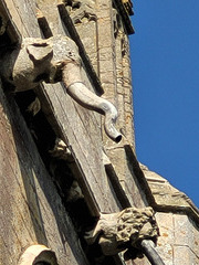 gosberton church, lincs, elephant gargoyle on c15 tower