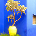 Jardin Majorelle