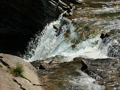 Sheep River Falls, Alberta