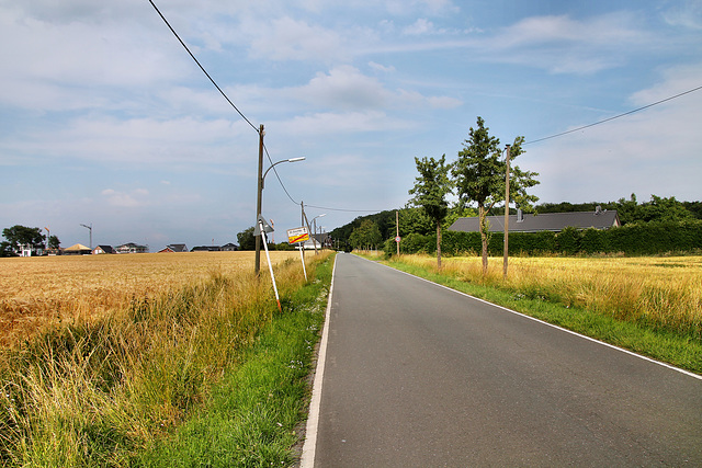 Wittichstraße (Dortmund-Holthausen) / 22.06.2019