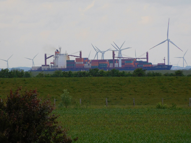 Blick zum Elbdeich mit großem Frachter