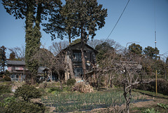 Farmer's residence