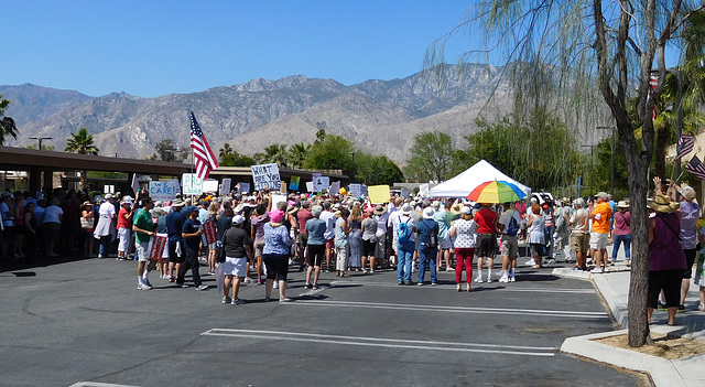 Palm Springs Tax Day protest (#0513)