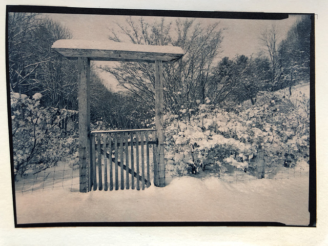 Azalea garden gate
