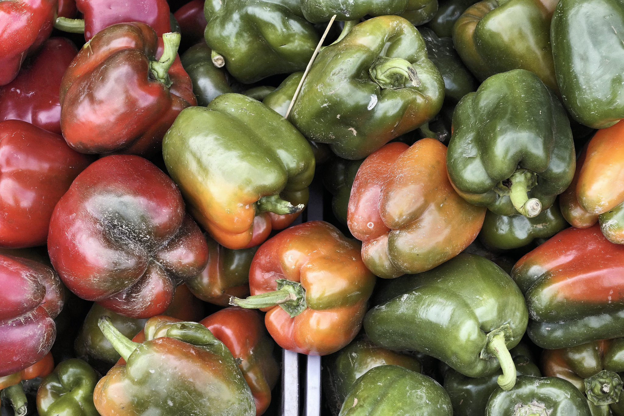 Sweet Peppers – Marché Jean-Talon, Montréal, Québec, Canada