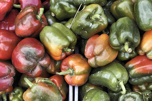Sweet Peppers – Marché Jean-Talon, Montréal, Québec, Canada
