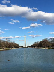 IMG 4145