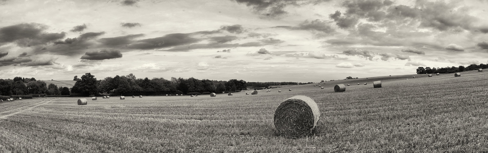 straw bales panorama