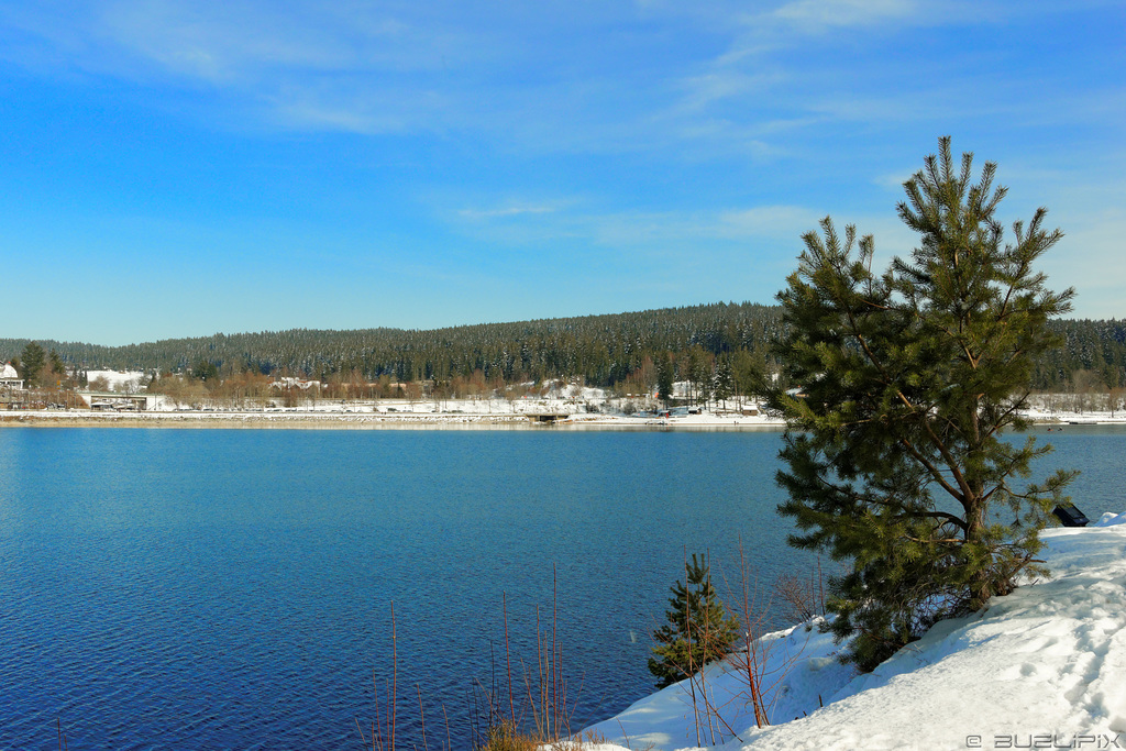 Winter am Schluchsee (© Buelipix)