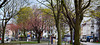 Bleicken-Allee-804-807 Panorama-05-04-17